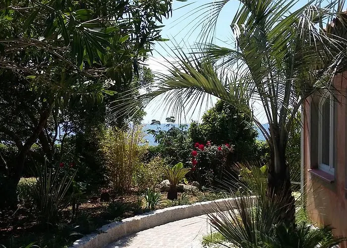 Apartment Nova Tiuccia